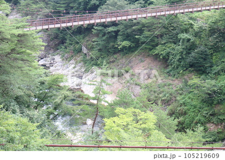 鬼怒川温泉絶景の宿絹の渓谷碧流窓からの鬼怒川と吊橋風景 105219609