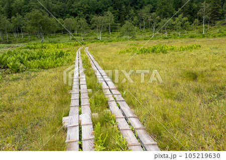 志賀高原 田ノ原湿原 志賀高原 田ノ原湿原 105219630