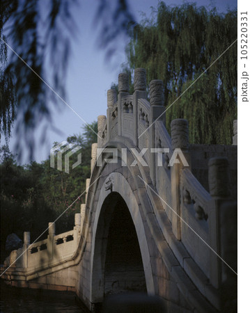 公園の石橋としだれ柳 105220331