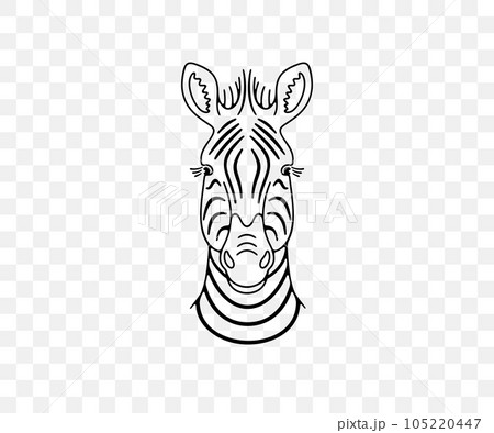 Zebra head, animals and african savannah, linear graphic design. Nature, wildlife, safari, zoo, wilderness and fauna, vector design and illustration Zebra head, animals and african savannah, linear graphic design. Nature, wildlife, safari, zoo, wilderness and fauna, vector design and illustration 105220447