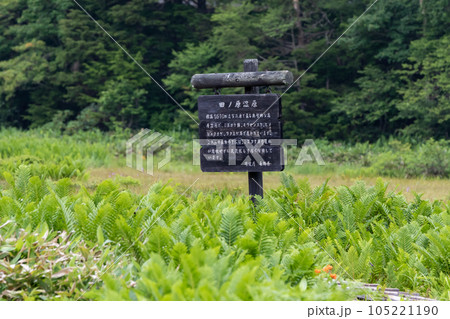 志賀高原　田ノ原湿原 105221190