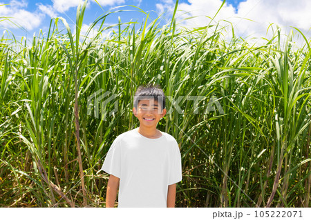 さとうきび畑と夏の少年 さとうきび畑と夏の少年 105222071