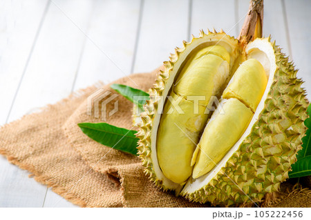 Durian fruit. Ripe monthong durian on sack and white wood background, king of fruit from Thailand 105222456