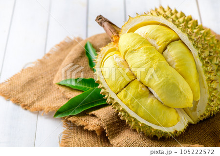Durian fruit. Ripe monthong durian on sack and white wood background, king of fruit 105222572