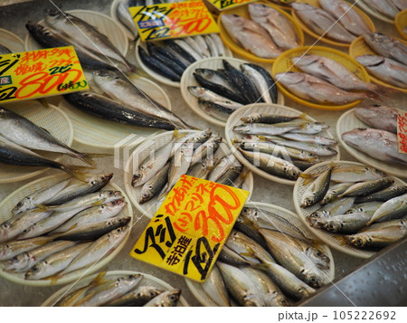 寺泊　魚の市場通り 105222692