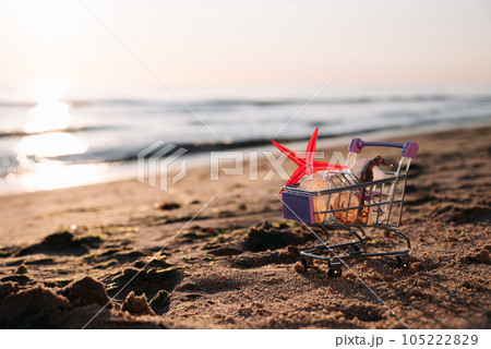 Miniature Shopping Basket Stands On Shore Of Sea At Sunrise, Which Is Washed By Water, In Basket Shells, Starfish And Seahorse. The Concept Of Summer Sale And Buying Ticket. To Summer 105222829