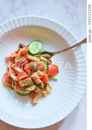 夏野菜を入れたイタリア風ソテー 105223208
