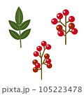 南天の実と葉のイラストセット 105223478