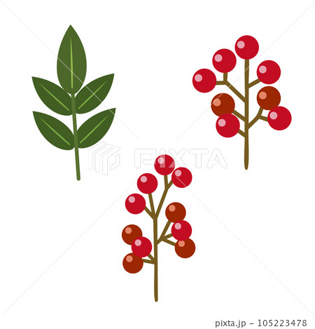 南天の実と葉のイラストセット 105223478