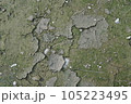 texture of bark tree with cracks 105223495