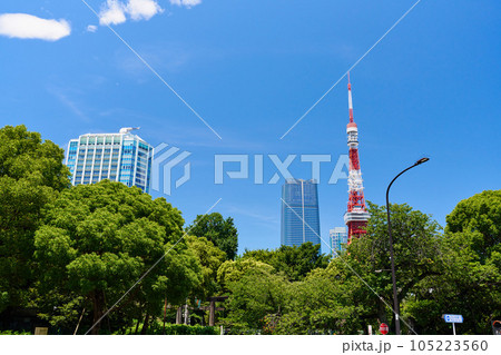 東京タワーの見える風景 芝公園 東京タワーの見える風景 芝公園 105223560