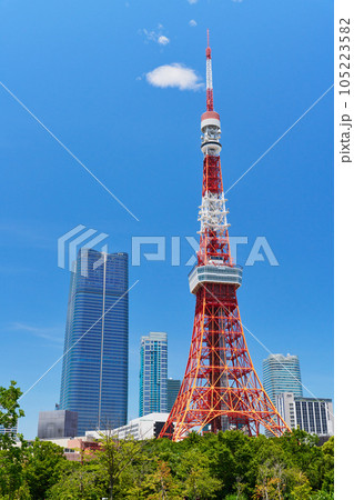 東京タワーの見える風景　芝公園 105223582