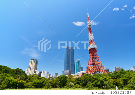 東京タワーの見える風景　芝公園 105223587