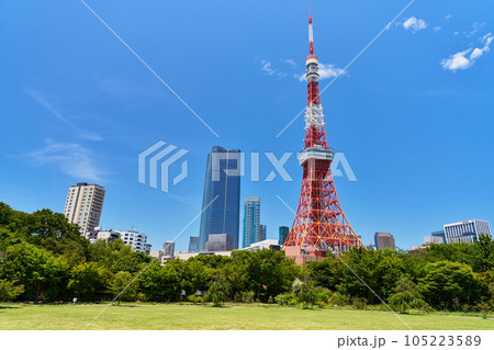 東京タワーの見える風景　芝公園 105223589