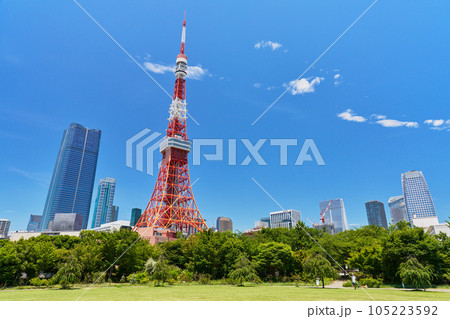 東京タワーの見える風景　芝公園 105223592