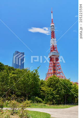東京タワーの見える風景　芝公園 105223594