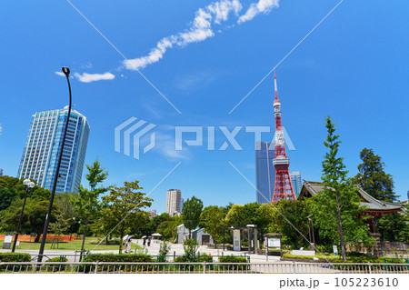 東京タワーの見える風景 芝公園 東京タワーの見える風景 芝公園 105223610