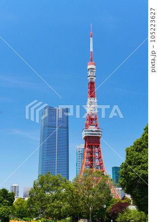 東京タワーの見える風景　芝公園 105223627