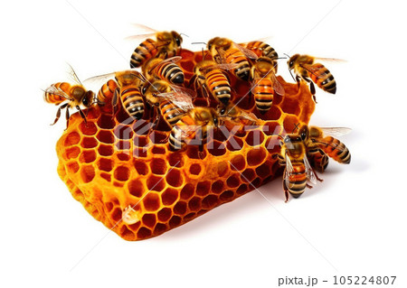 Bee Hive Pattern Close-Up. Generative AI 105224807