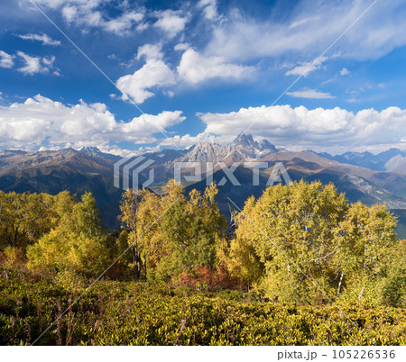 Autumn Landscape with a view of the top of the mountain 105226536