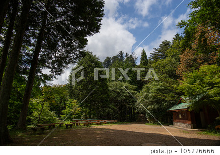 御岳山 長尾平観光トイレ付近の風景(東京都青梅市) 御岳山 長尾平観光トイレ付近の風景(東京都青梅市) 105226666