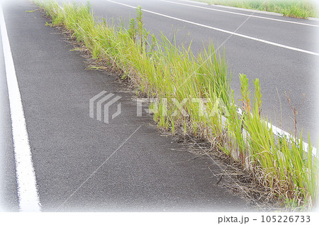 車道と歩道の境界部分に生えた雑草が高く伸びて縁石が見え難い状態（イラスト風） 105226733