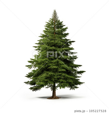 Christmas tree isolated Christmas tree isolated 105227328