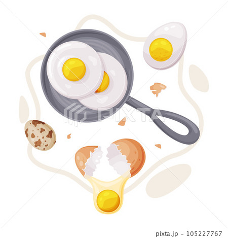 Egg with Brown Shell, White and Yellow Yolk Vector Composition Egg with Brown Shell, White and Yellow Yolk Vector Composition 105227767