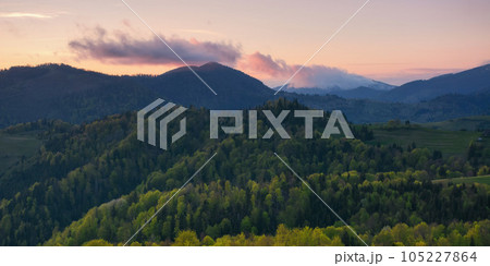 cloudy afternoon in carpathian countryside. forested hills and grassy meadows in evening light. gorgeous rural area background in springtime 105227864