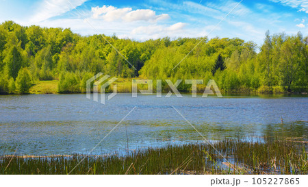 scenery with forest pond. forest reflecting in the water surface. warm april weather 105227865