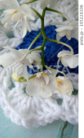 Blue, white crochet elements and orchid. Crochet texture, place for an inscription, adapted for mobile phone Blue, white crochet elements and orchid. Crochet texture, place for an inscription, adapted for mobile phone 105228106