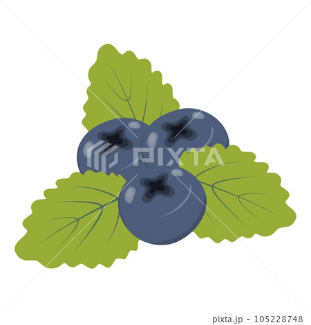 Three blueberries with leaves in bright trendy shades. Sticker. Icon. Isolate. Design for cards. EPS Three blueberries with leaves in bright trendy shades. Sticker. Icon. Isolate. Design for cards. EPS 105228748
