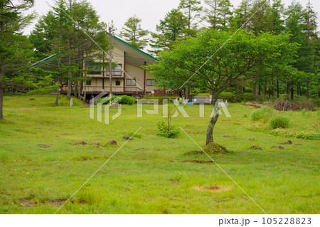 キャンプ場にあるマユミの木 キャンプ場にあるマユミの木 105228823