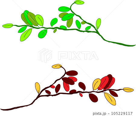 Floral elements, vector illustration Floral elements, vector illustration 105229117