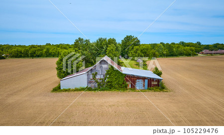 Wooden and metal barn rusting with three empty dirt fields and a patch of green forest behind aerial Wooden and metal barn rusting with three empty dirt fields and a patch of green forest behind aerial 105229476