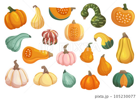 Set Of Different Vector Pumpkins, Classic Orange Gourd Perfect For Carving, Baking, Or Decorating During Fall Season 105230077