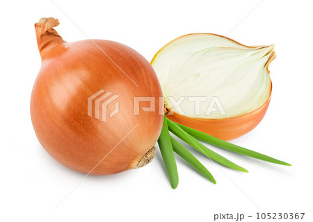 yellow onion with green onion isolated on white background close up 105230367