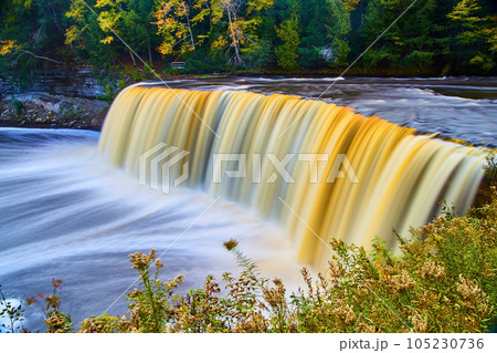 Tahquamenon Falls with thistle weeds growing beside river and basin with cliff walls on other side Tahquamenon Falls with thistle weeds growing beside river and basin with cliff walls on other side 105230736