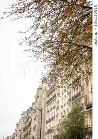 パリ街並　春を待つオスマン建築 105230810