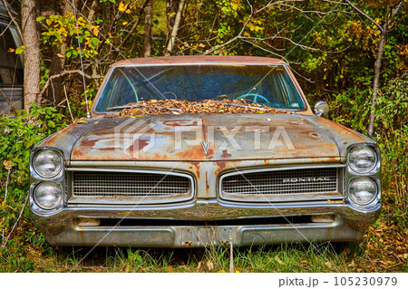 Single rusty Pontiac car from front low in forest with fall leaves on windshield Single rusty Pontiac car from front low in forest with fall leaves on windshield 105230979