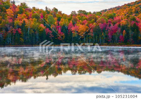 Reflective foggy surface of serene lake with coast of fall forest trees in peak foliage 105231004