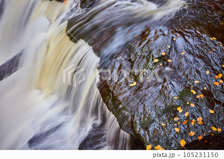 Fall leaves on rocks by raging waterfall edge up close Fall leaves on rocks by raging waterfall edge up close 105231150