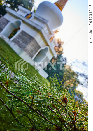 Dew on pine needles with blurry Chorten Tibetan Mongolian Buddhist shrine in background Dew on pine needles with blurry Chorten Tibetan Mongolian Buddhist shrine in background 105231317