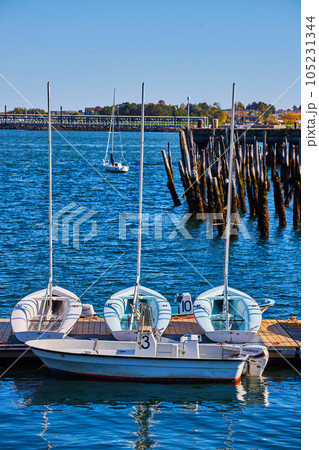 Trio of small white boats on dock with old pilings in background 105231344