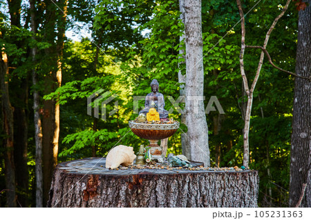 Small Buddha statue on tree stump in forest Small Buddha statue on tree stump in forest 105231363