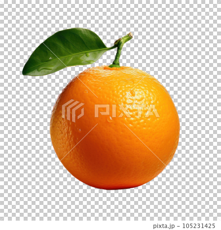 Single mandarine isolated Single mandarine isolated 105231425