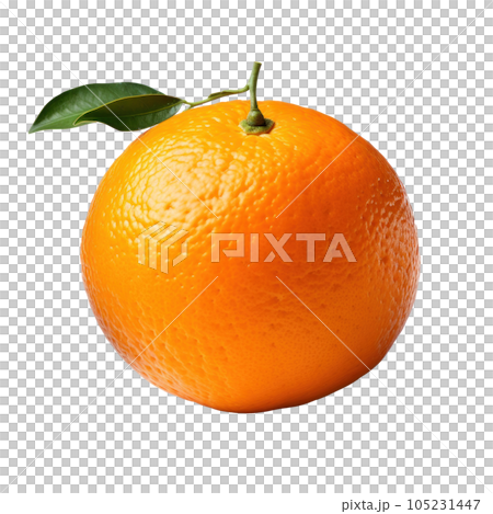 Single mandarine isolated Single mandarine isolated 105231447