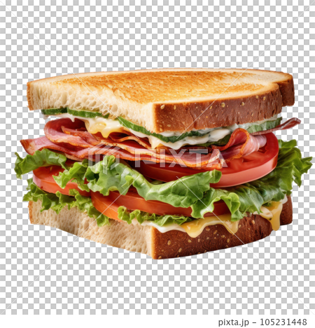 Tasty sandwitch isolated Tasty sandwitch isolated 105231448