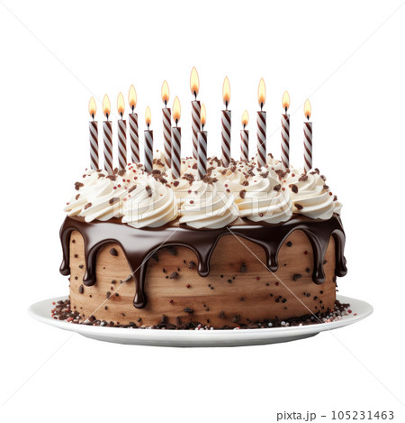 Birthday cake with candles isolated 105231463