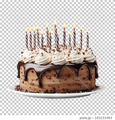 Birthday cake with candles isolated Birthday cake with candles isolated 105231463
